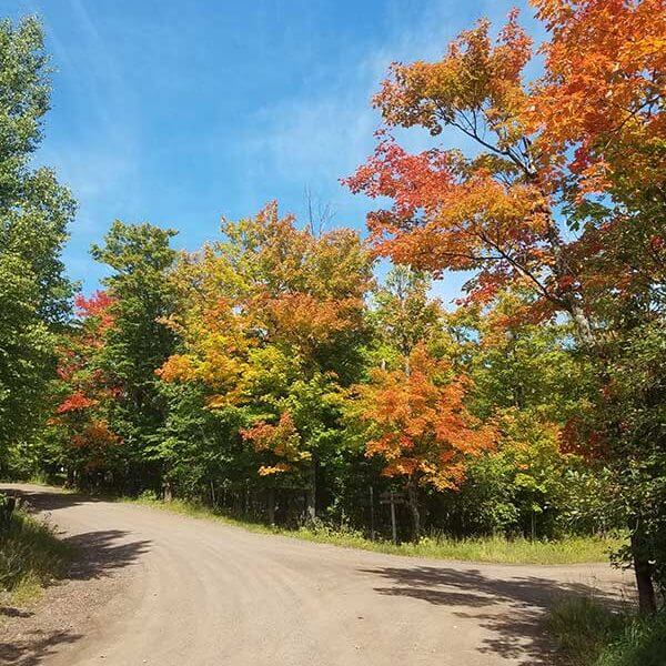orange maples highlight a dirt road intersection