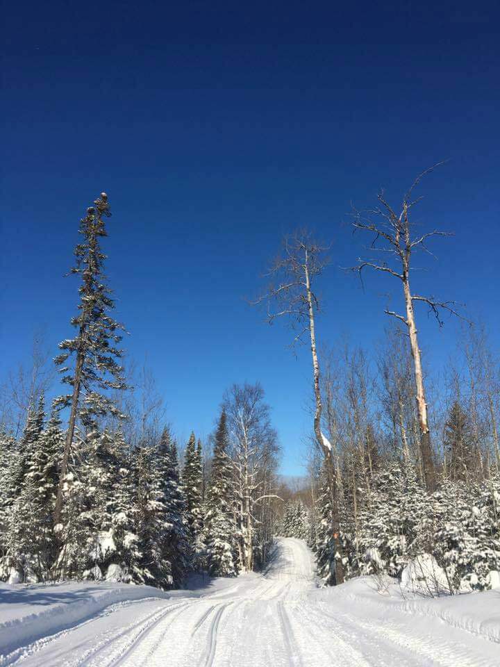 North Shore Snow Conditions and Trail Report MN