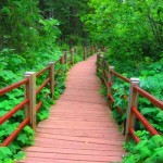 Superior Hiking Trail Work Day: Beaver Bay Boardwalk