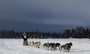 john beargrease