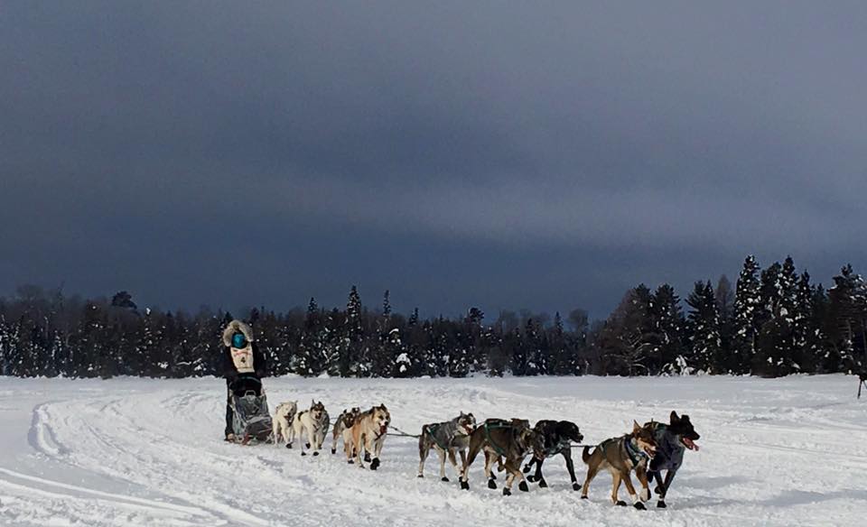 John Beargrease Sled Dog Marathon