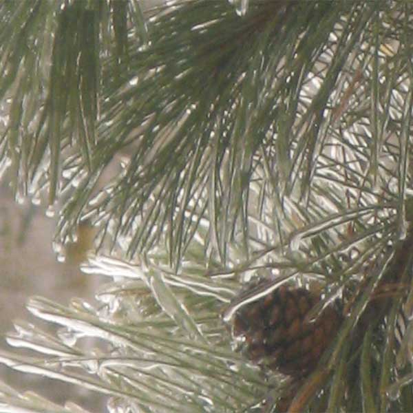 North Shore Real Estate North Shore Visitor