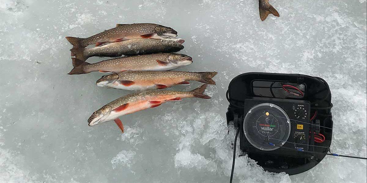 five splake and a depth finder ice fishing