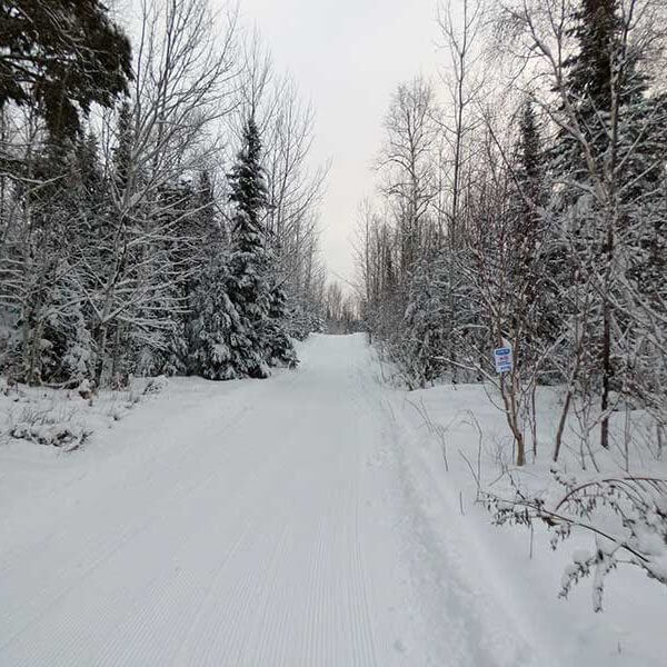 upper gunflint cross country ski trails