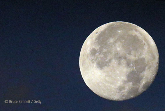 November Full Moon | North Shore Visitor