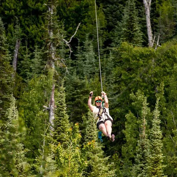 ziplining past treetops at the towering pines canopy tour