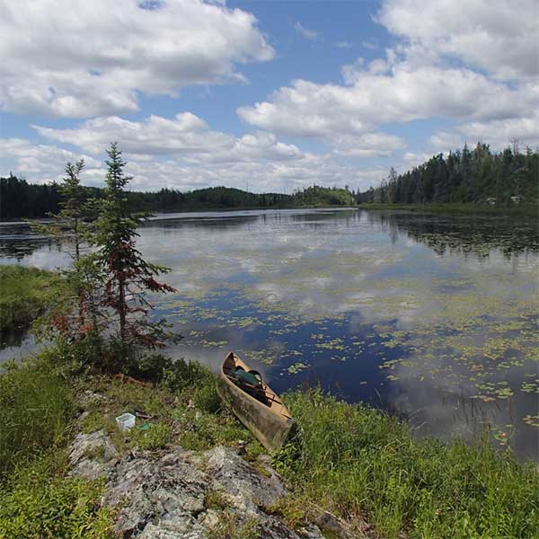bearskin outfitters