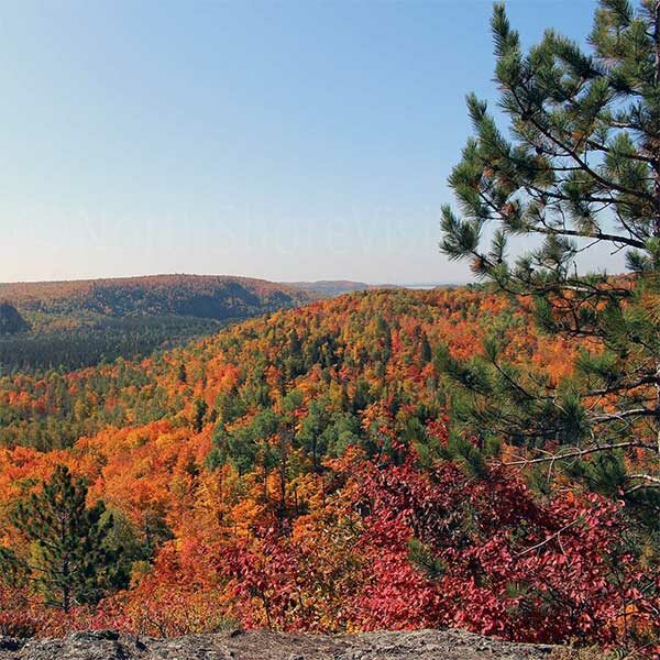 hillsides of orange maples from lax lake overlook