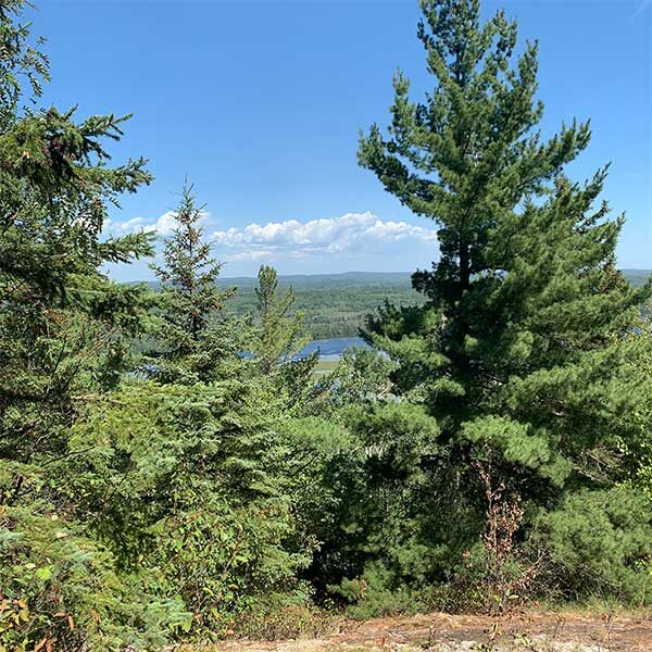 blueberry hill overlook to northern light lake
