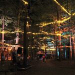Night Climbing at the North Shore Adventure Park