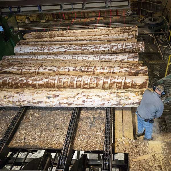 Hedstrom Lumber Company Sawmill Tours