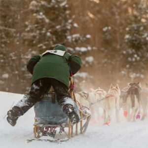 musher having fun at gunflint mail run