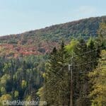 Superior Hiking Trail Work Day: Cascade River Loop (all-femme)