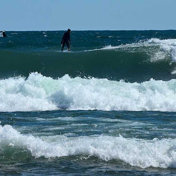 Stoney Point Whale Surfer Sighting