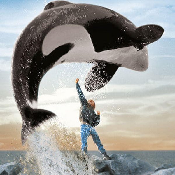 free willy poster