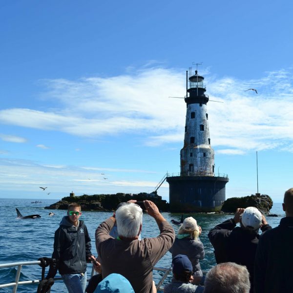 tour boat group looking at rock of ages lighthouse at isle royale not seeing whale