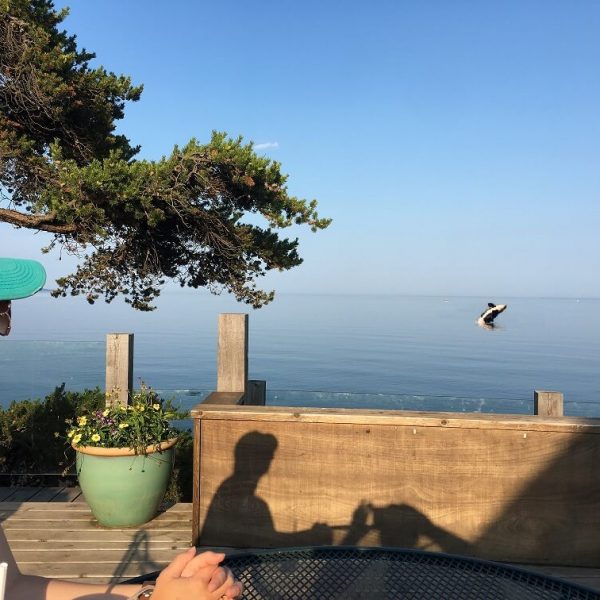 visitor watching whale breaching in calm waters of east bay lake superior in grand marais