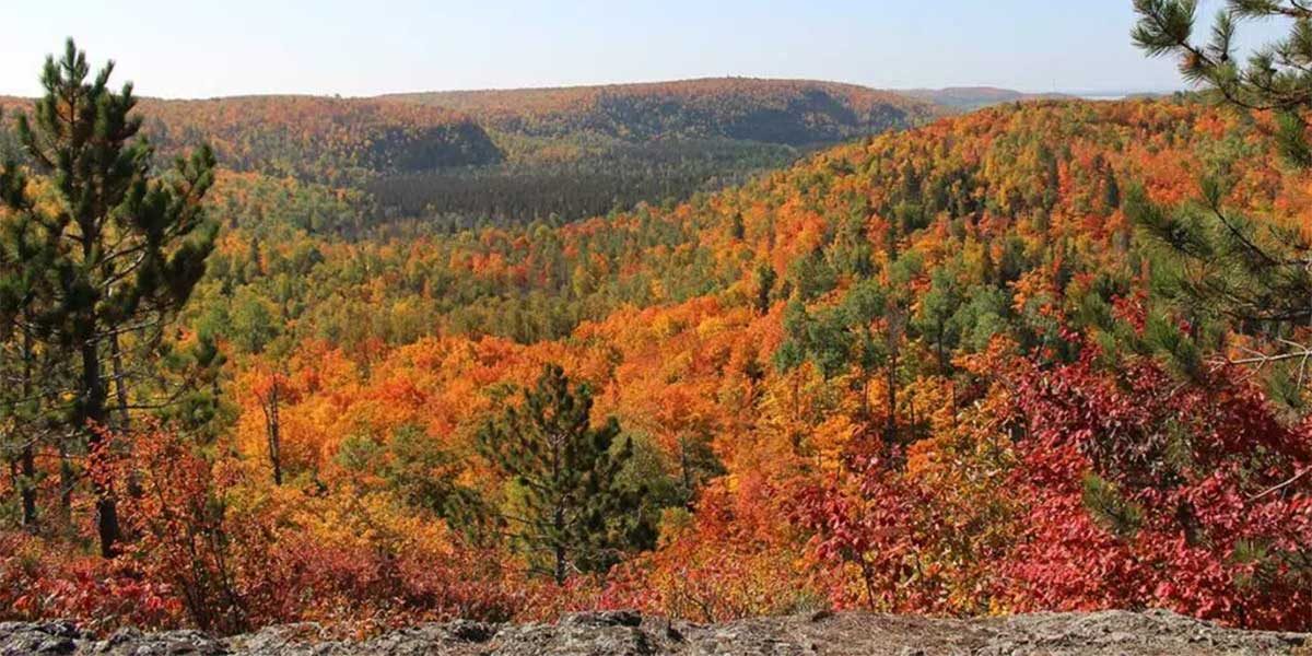 hillsides of peak fall colors north shore