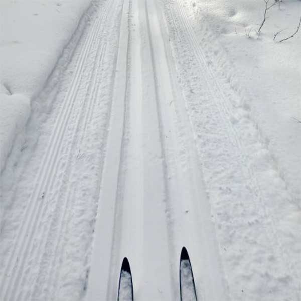 cross country ski tips on snowy north shore trail