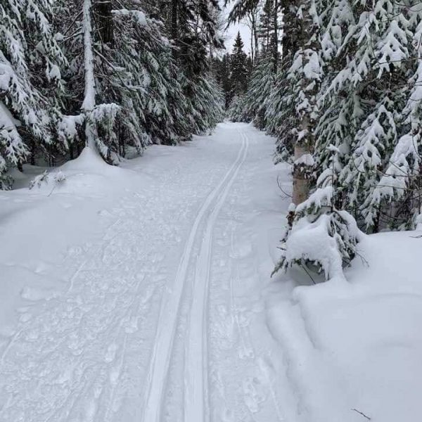 cross country ski trail at george washington pines