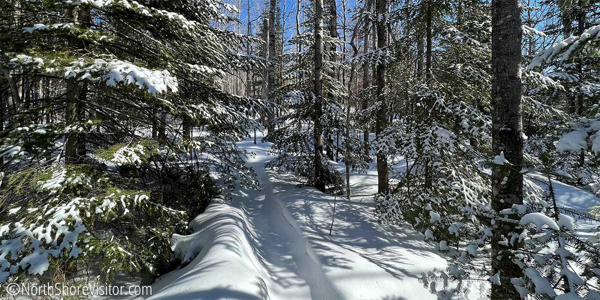 This 2-mile Ice-skating Trail in Canada Winds Through a Forest