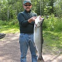 lake-trout