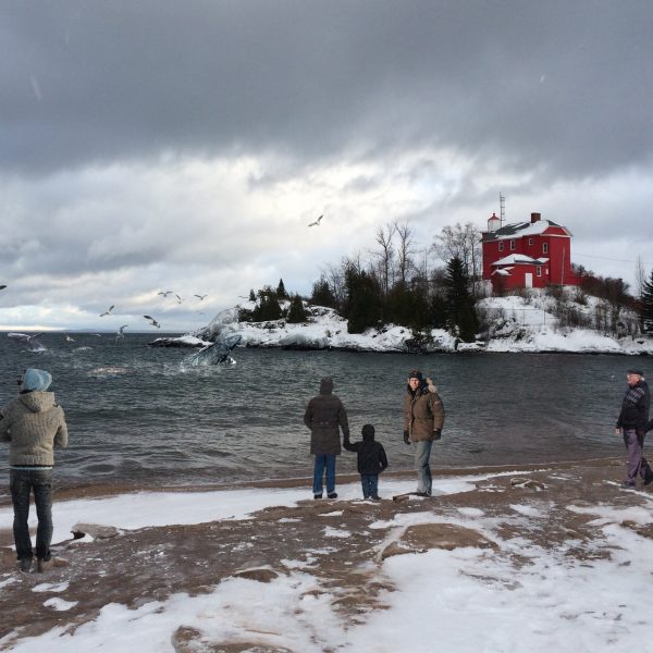 onlookers watch whale offshore near marquette mi