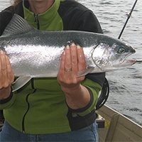 lake superior salmon fishing