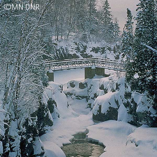 snow covered pines and temperance river under footbridge