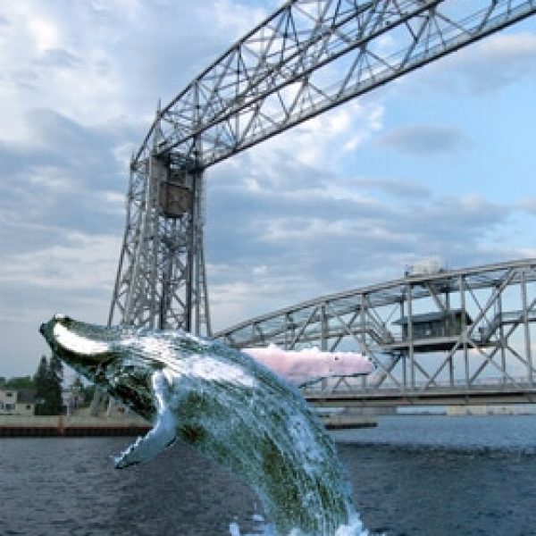 whale jumping in front of aerial lift bridge